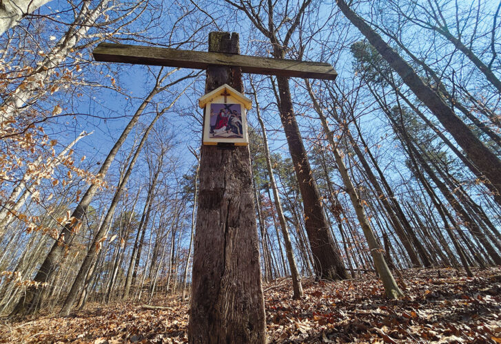 Picture This: Sanctuary